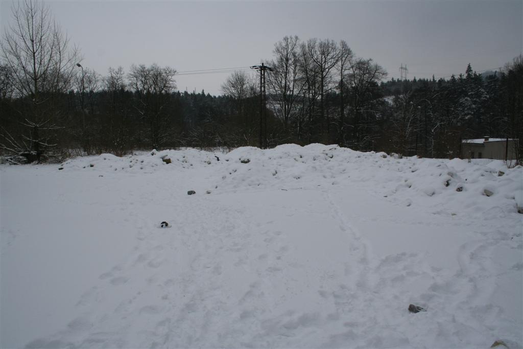 004 Zakupy 01 01 2006