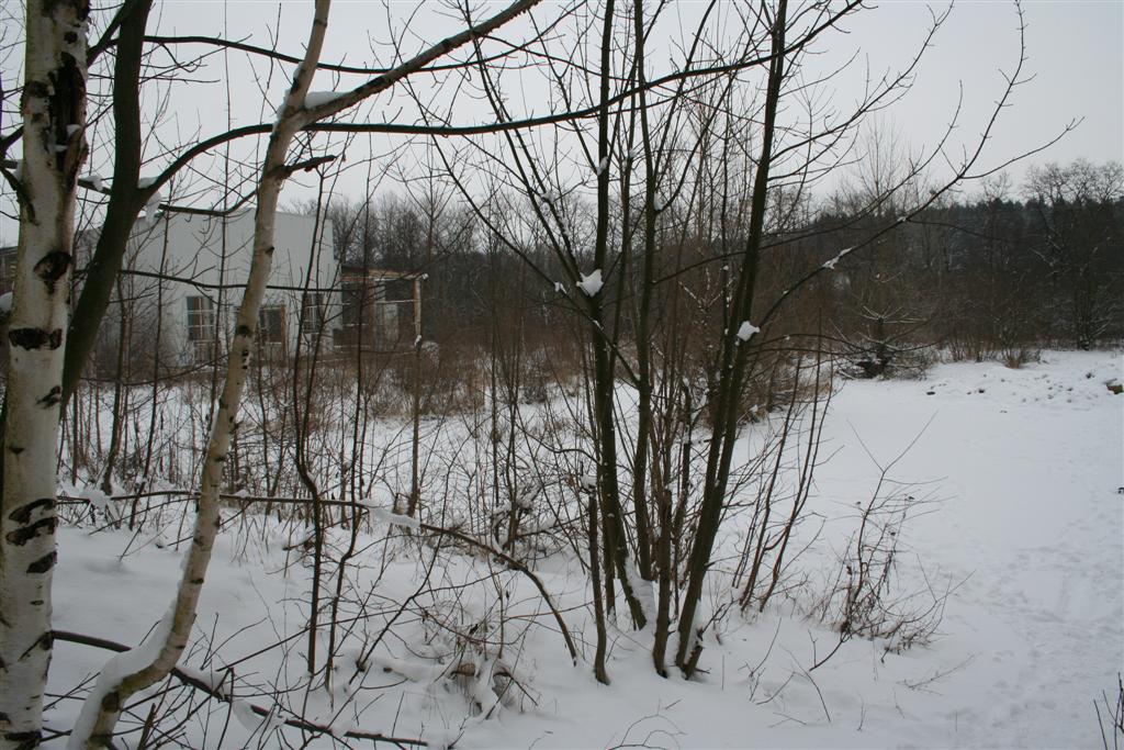 005 Zakupy 01 01 2006
