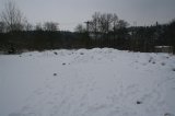 004 Zakupy 01 01 2006