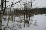 005 Zakupy 01 01 2006