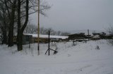 037 Zakupy 01 01 2006