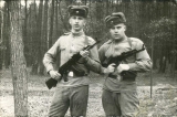 31